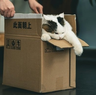 House Moving